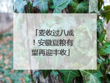 麦收过八成！安徽夏粮有望再迎丰收