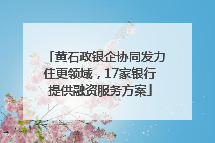 黄石政银企协同发力住更领域，17家银行提供融资服务方案