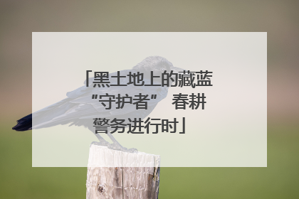 黑土地上的藏蓝“守护者” 春耕警务进行时