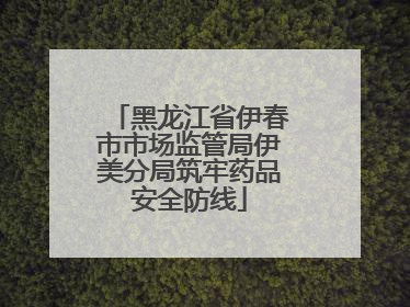 黑龙江省伊春市市场监管局伊美分局筑牢药品安全防线
