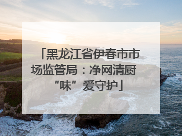 黑龙江省伊春市市场监管局：净网清厨 “味”爱守护