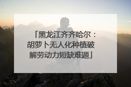 黑龙江齐齐哈尔：胡萝卜无人化种植破解劳动力短缺难题