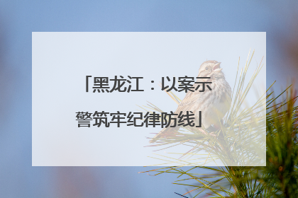 黑龙江：以案示警筑牢纪律防线