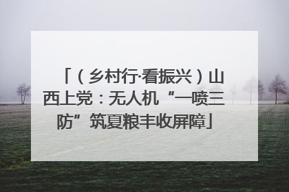 （乡村行·看振兴）山西上党：无人机“一喷三防”筑夏粮丰收屏障