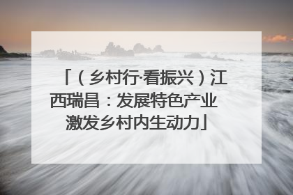 （乡村行·看振兴）江西瑞昌：发展特色产业 激发乡村内生动力