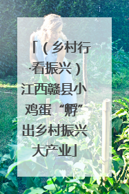 （乡村行·看振兴）江西赣县小鸡蛋“孵”出乡村振兴大产业