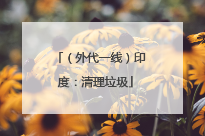 （外代一线）印度：清理垃圾