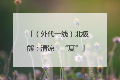 （外代一线）北极熊：清凉一“夏”