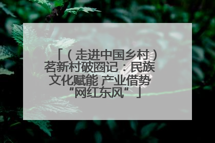 （走进中国乡村）茗新村破圈记：民族文化赋能 产业借势 “网红东风”