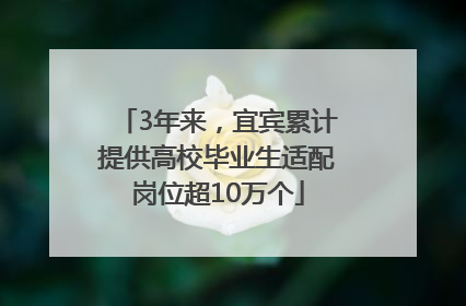 3年来，宜宾累计提供高校毕业生适配岗位超10万个