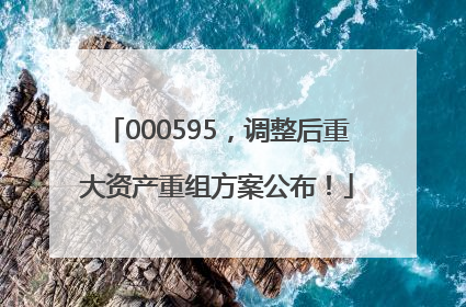 000595，调整后重大资产重组方案公布！