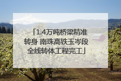 1.4万吨桥梁精准转身 南珠高铁玉岑段全线转体工程完工