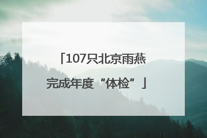 107只北京雨燕完成年度“体检”