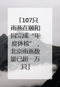 107只雨燕在颐和园完成“年度体检”，北京雨燕数量已超一万只