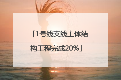 1号线支线主体结构工程完成20%