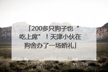 200多只狗子也“吃上席”！天津小伙在狗舍办了一场婚礼
