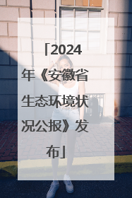 2024年《安徽省生态环境状况公报》发布