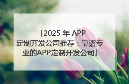 2025 年 APP 定制开发公司推荐：靠谱专业的APP定制开发公司