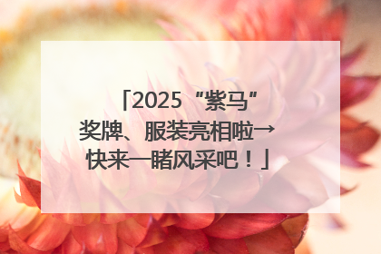 2025“紫马”奖牌、服装亮相啦→快来一睹风采吧！