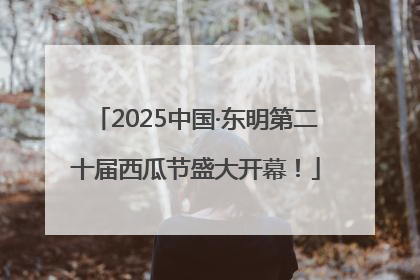 2025中国·东明第二十届西瓜节盛大开幕！