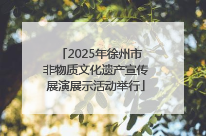 2025年徐州市非物质文化遗产宣传展演展示活动举行