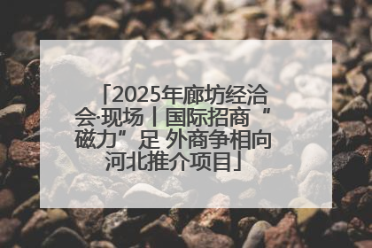 2025年廊坊经洽会·现场丨国际招商“磁力”足 外商争相向河北推介项目