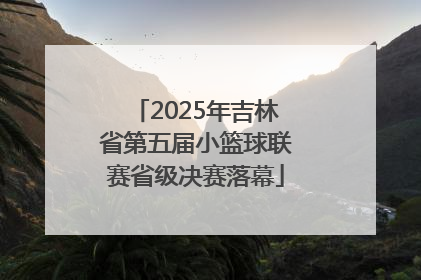 2025年吉林省第五届小篮球联赛省级决赛落幕