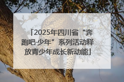 2025年四川省“奔跑吧·少年”系列活动释放青少年成长新动能