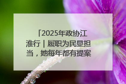 2025年政协江淮行｜履职为民显担当，她每年都有提案被评为“优秀”