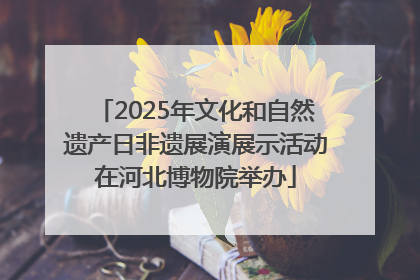 2025年文化和自然遗产日非遗展演展示活动在河北博物院举办
