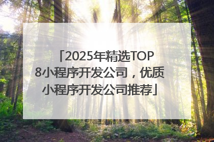 2025年精选TOP8小程序开发公司，优质小程序开发公司推荐