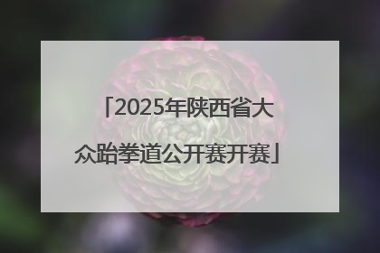 2025年陕西省大众跆拳道公开赛开赛
