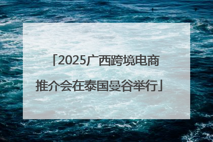 2025广西跨境电商推介会在泰国曼谷举行