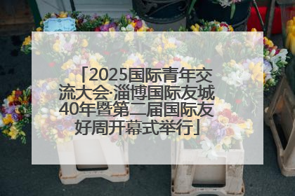 2025国际青年交流大会·淄博国际友城40年暨第二届国际友好周开幕式举行