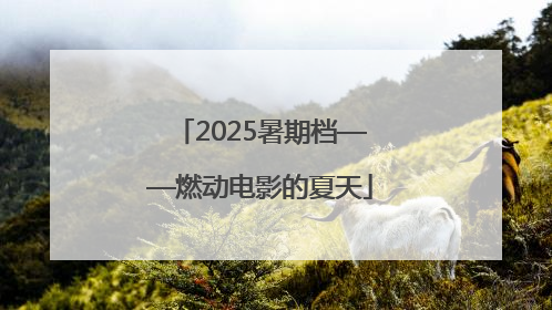 2025暑期档——燃动电影的夏天