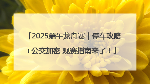 2025端午龙舟赛｜停车攻略+公交加密 观赛指南来了！