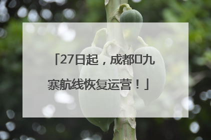 27日起，成都⇋九寨航线恢复运营！