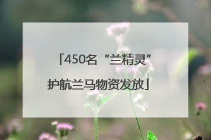 450名“兰精灵”护航兰马物资发放
