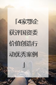 4家鄂企获评国资委价值创造行动优秀案例