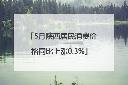 5月陕西居民消费价格同比上涨0.3%