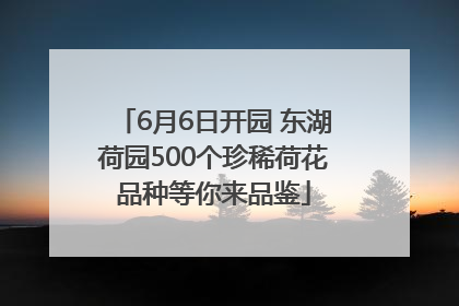 6月6日开园 东湖荷园500个珍稀荷花品种等你来品鉴