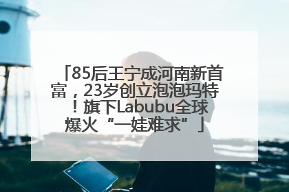 85后王宁成河南新首富，23岁创立泡泡玛特！旗下Labubu全球爆火“一娃难求”