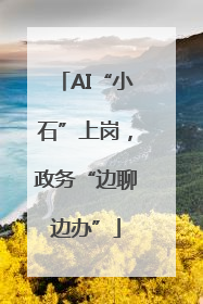 AI“小石”上岗，政务“边聊边办”