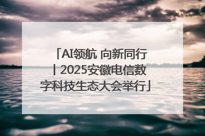 AI领航 向新同行丨2025安徽电信数字科技生态大会举行
