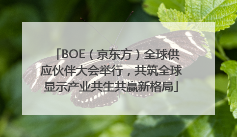 BOE（京东方）全球供应伙伴大会举行，共筑全球显示产业共生共赢新格局